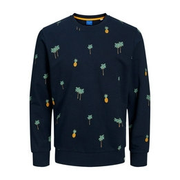 Overview image: Jack & Jones Sweater Guada AOP