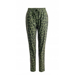 Overview image: NED Broek Noran Leopard
