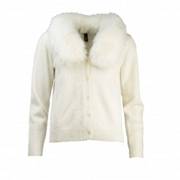 Overview image: NED Vest Fury